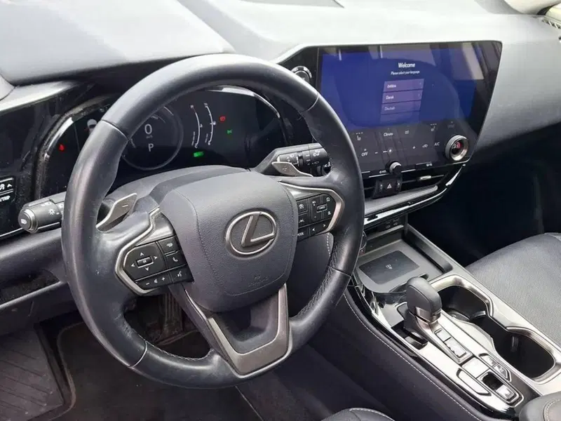 Lexus NX usata a Torino (12)