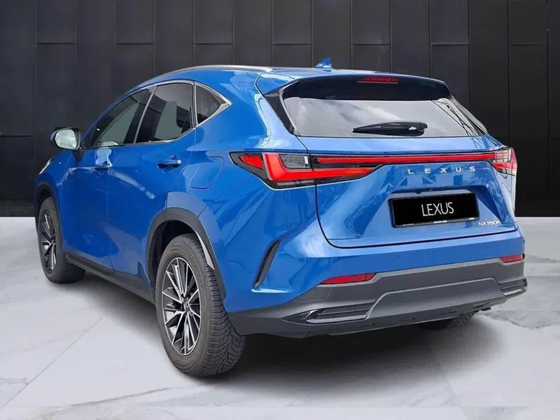 Lexus NX usata a Torino (2)