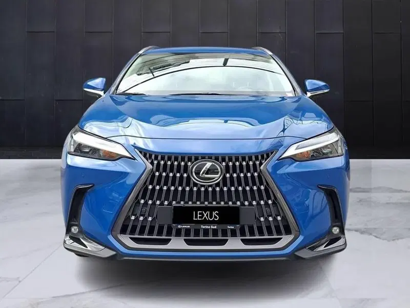 Lexus NX usata a Torino (3)