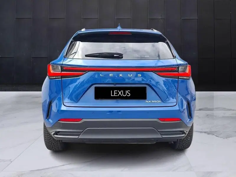 Lexus NX usata a Torino (4)