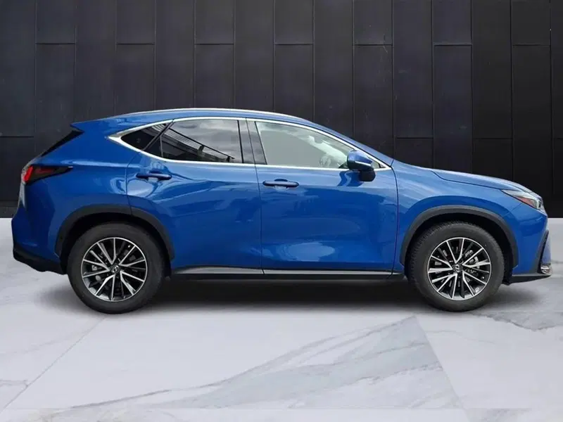 Lexus NX usata a Torino (5)