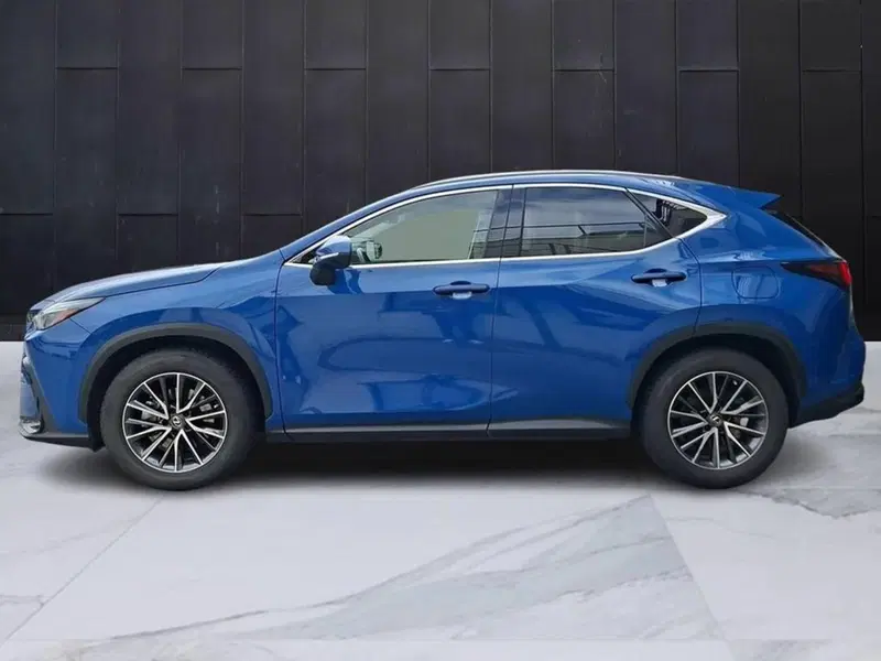 Lexus NX usata a Torino (6)