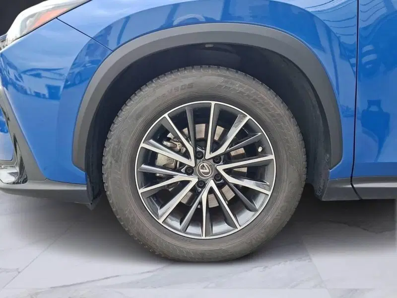 Lexus NX usata a Torino (7)