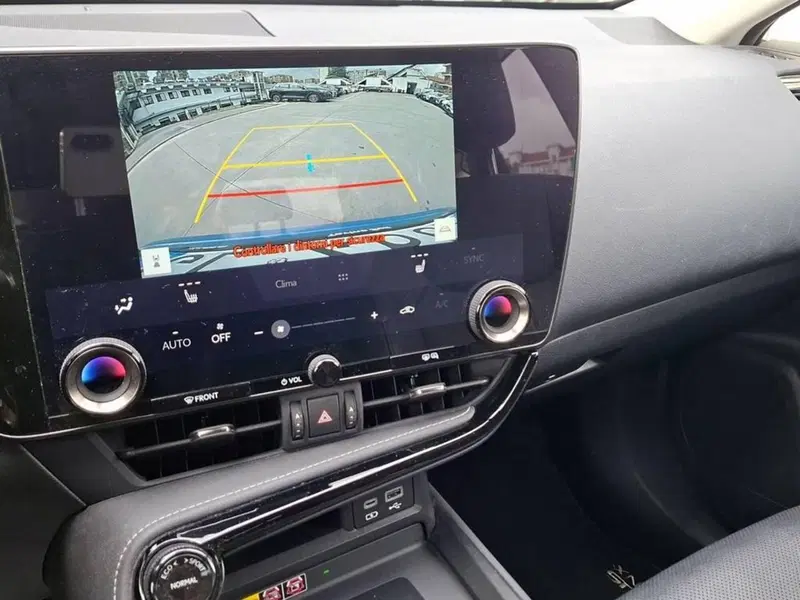 Lexus NX usata a Torino (9)