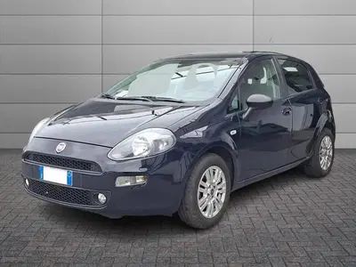 Fiat Punto 1.2 8V 5 porte Lounge del 2015 usata a Torino