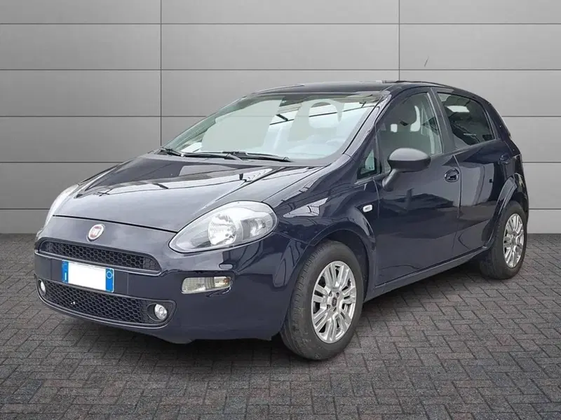 Fiat Punto usata a Torino