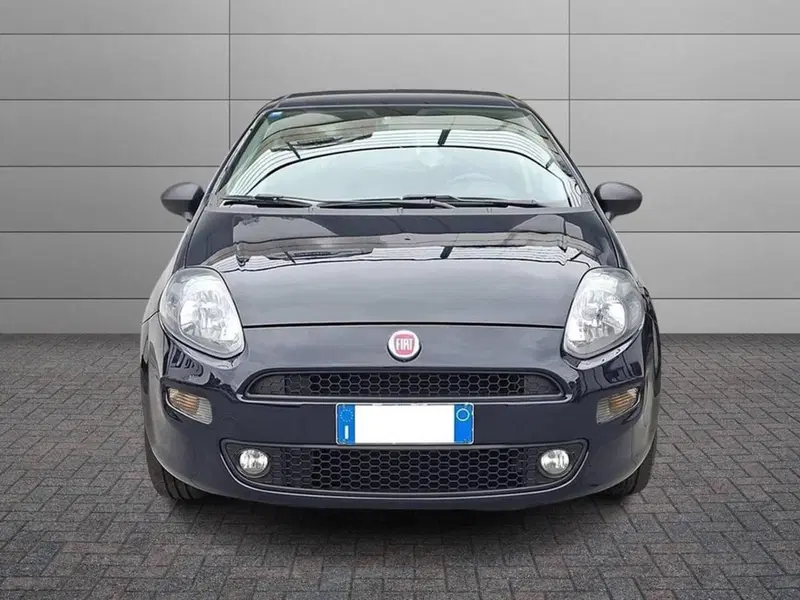 Fiat Punto usata a Torino (3)
