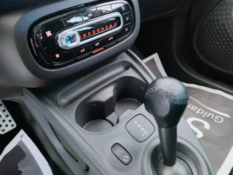 smart forfour usata a Teramo (12)