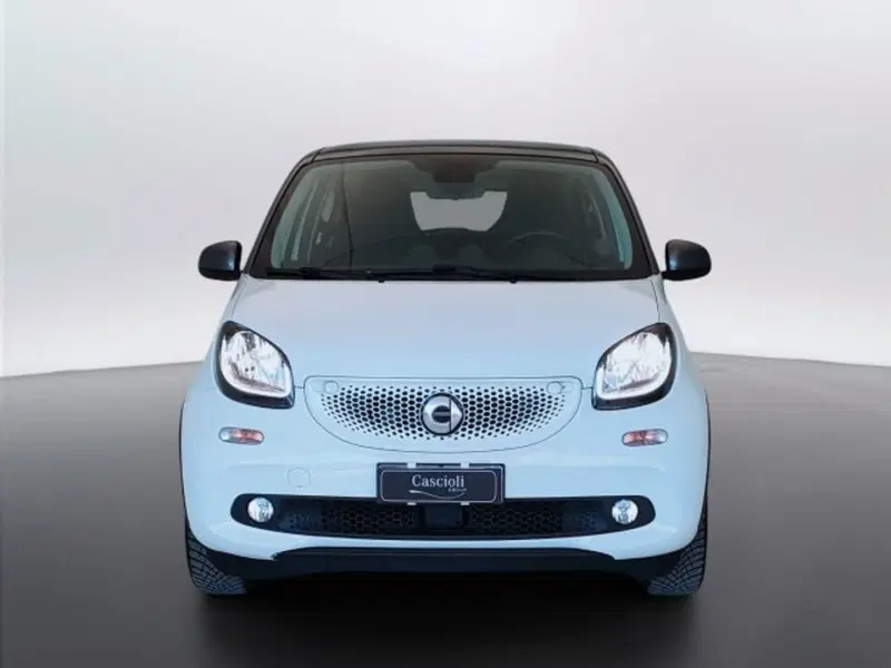smart forfour usata a Teramo (2)