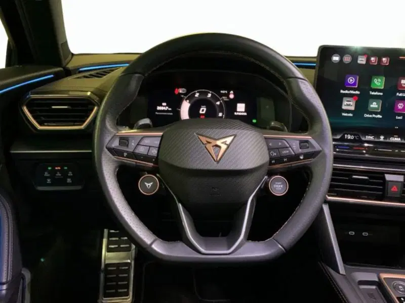 Cupra Formentor usata a Vicenza (9)