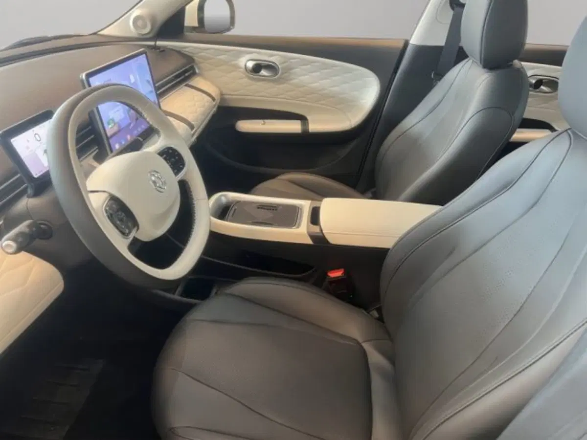 Dongfeng Box  nuova a Perugia (9)