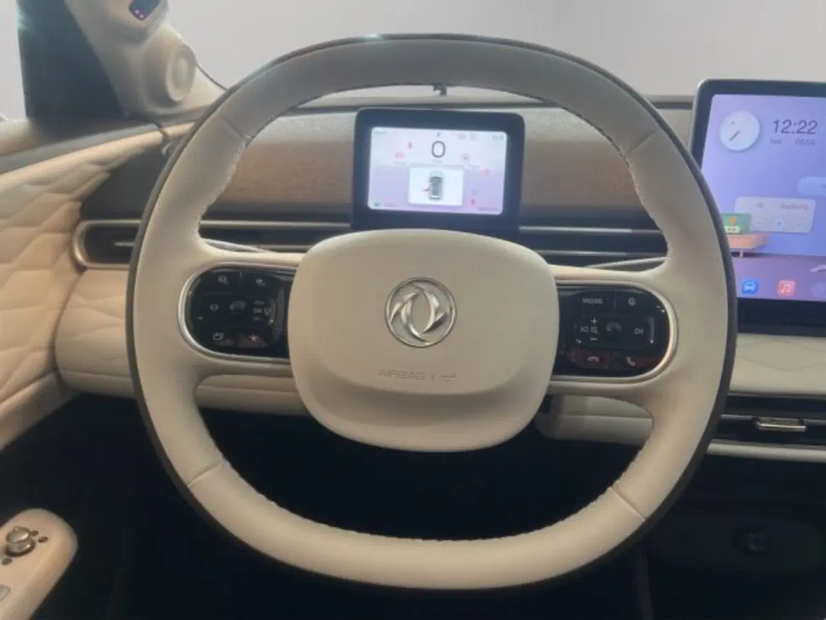 Dongfeng Box  nuova a Perugia (11)