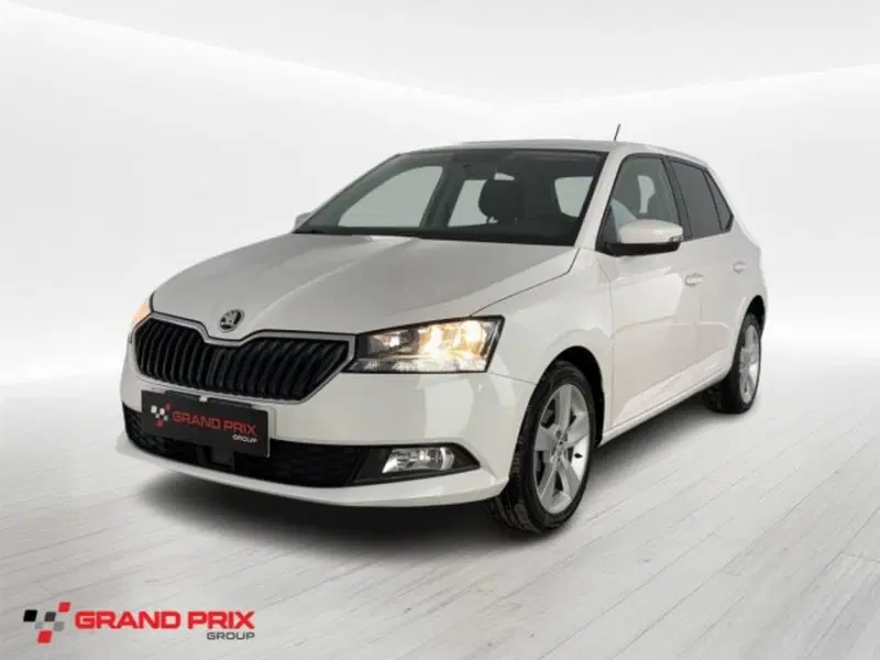 Skoda Fabia usata a Bologna
