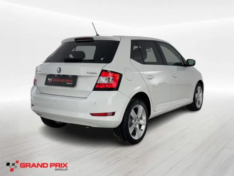 Skoda Fabia usata a Bologna (2)