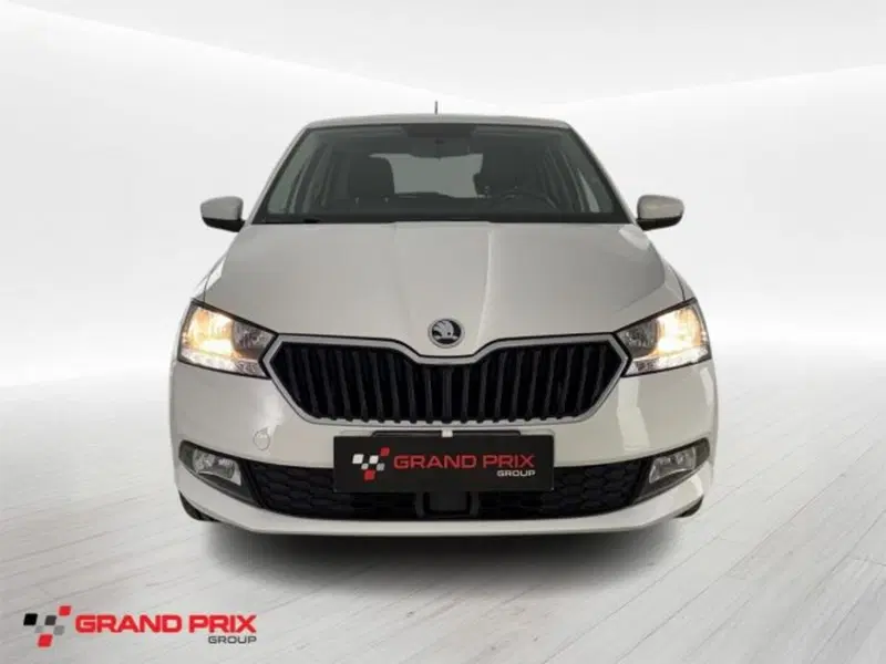 Skoda Fabia usata a Bologna (3)