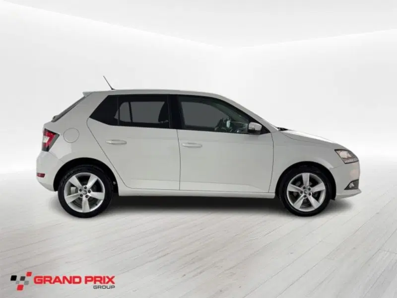 Skoda Fabia usata a Bologna (4)