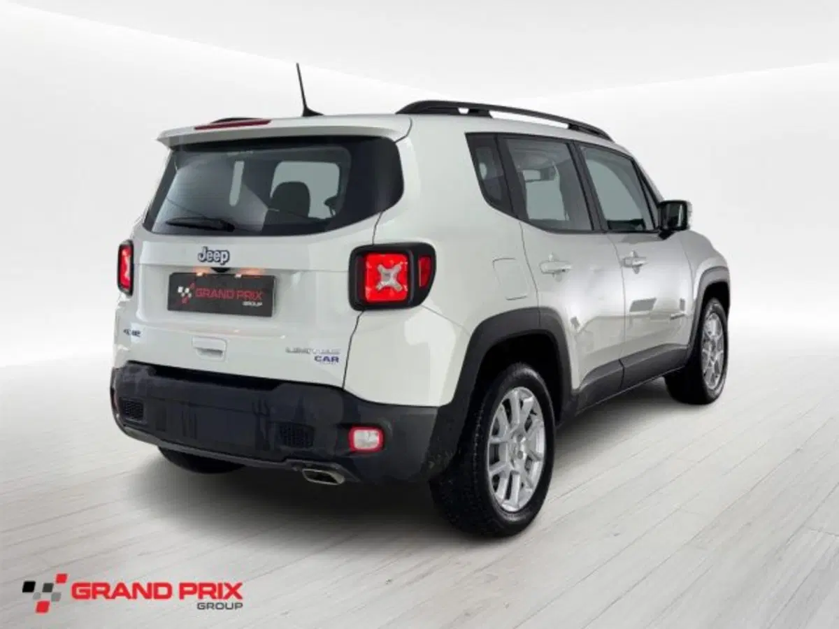 Jeep Renegade usata a Bologna (2)