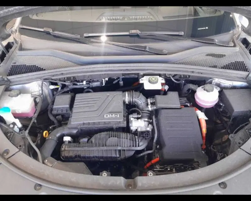 Byd Seal U DM-i  usata a Bologna (13)