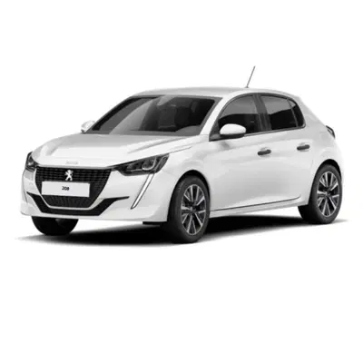 Peugeot 208 BlueHDi 100 Stop&amp;Start 5 porte Active Pack del 2021 usata a Messina