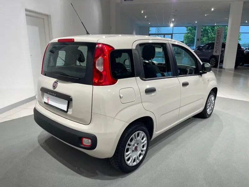 Fiat Panda usata a Sondrio (5)