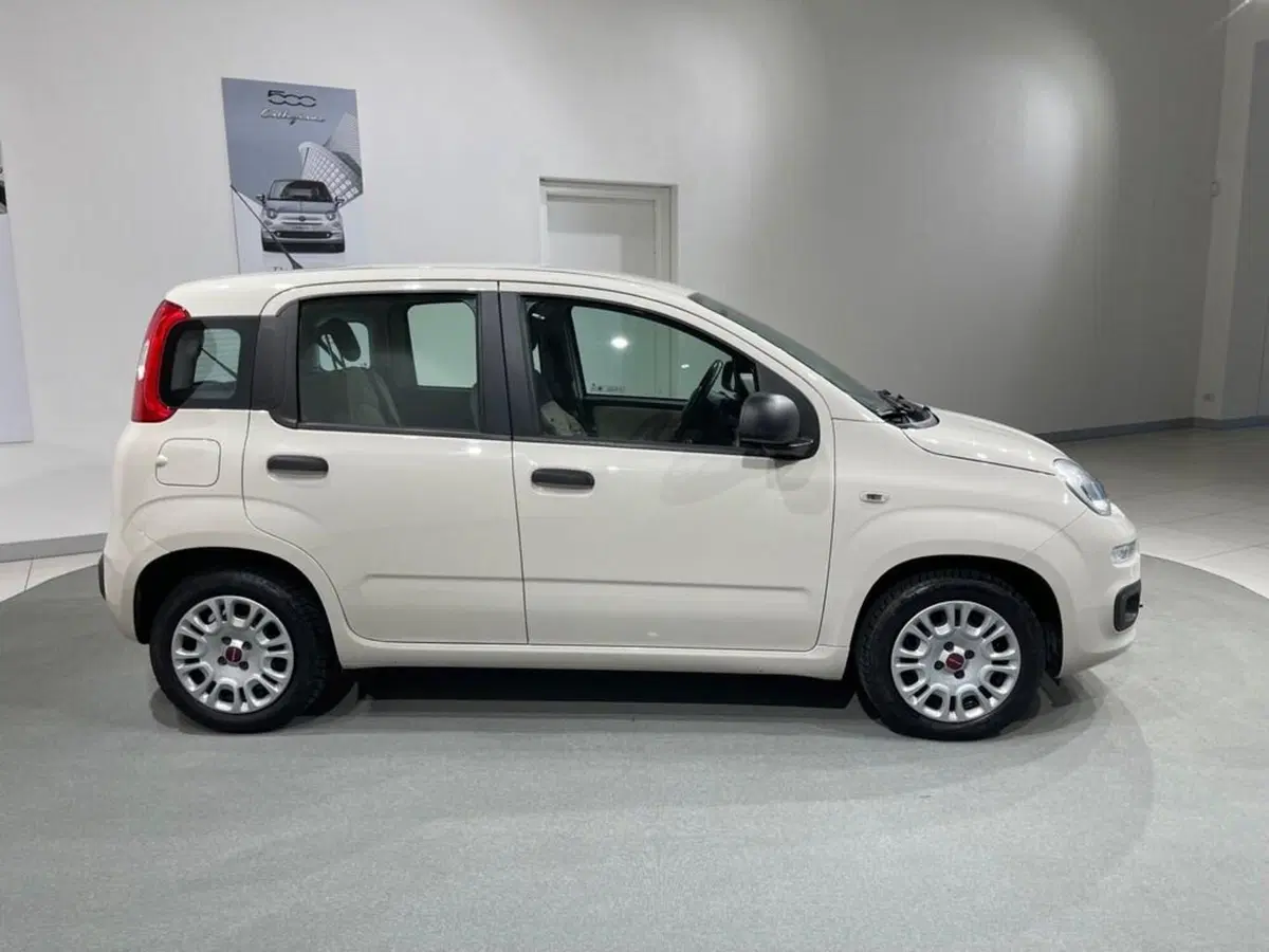 Fiat Panda usata a Sondrio (6)