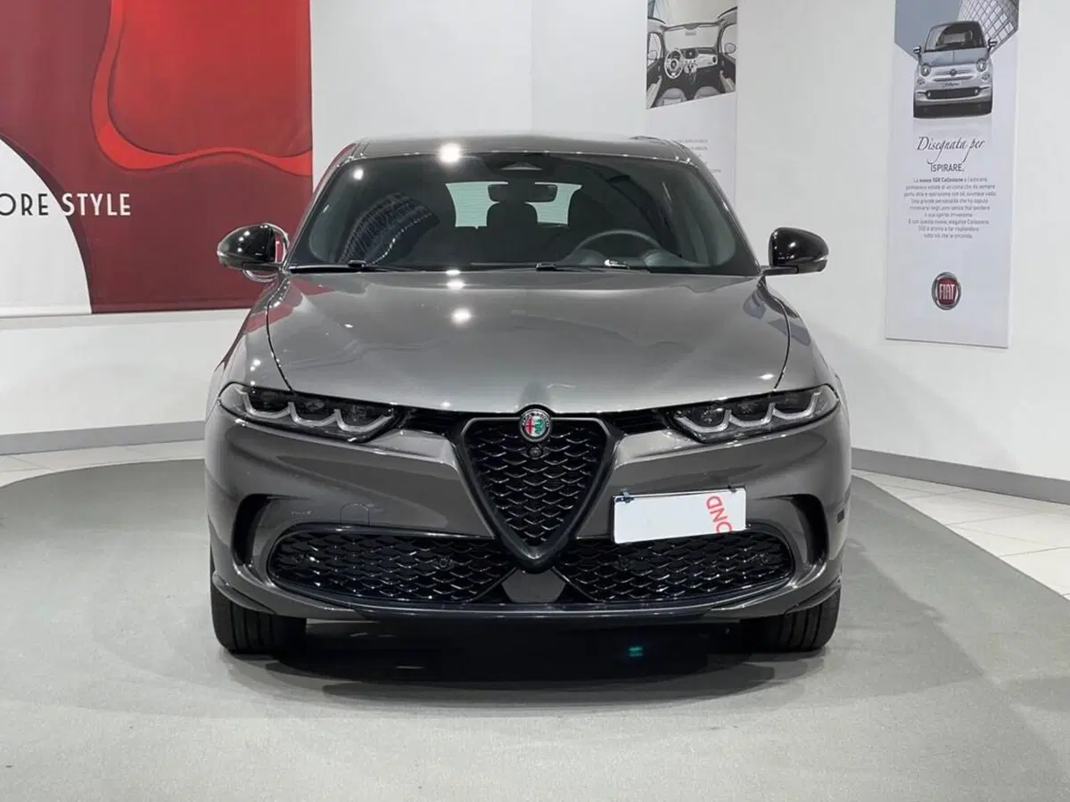 Alfa Romeo Tonale usata a Sondrio (2)