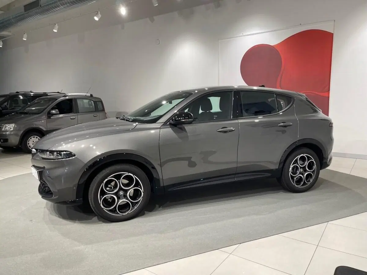 Alfa Romeo Tonale usata a Sondrio (7)