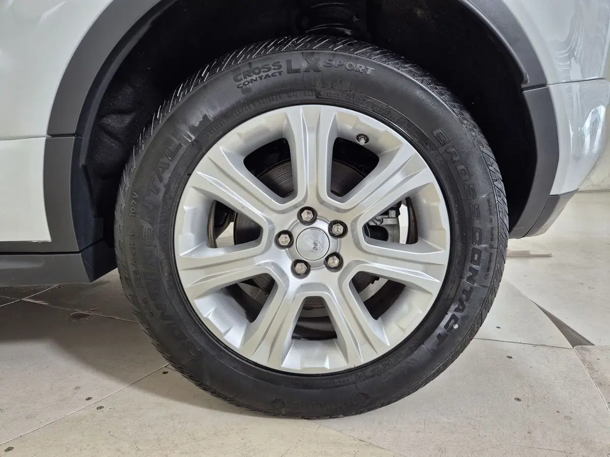 Land Rover Range Rover Evoque usata a Torino (9)