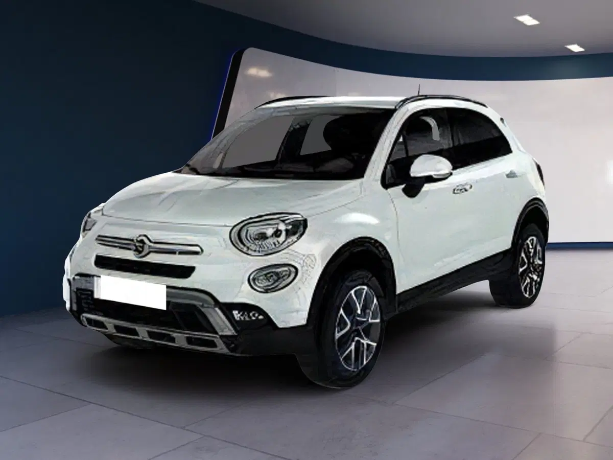 Fiat 500X usata a Torino