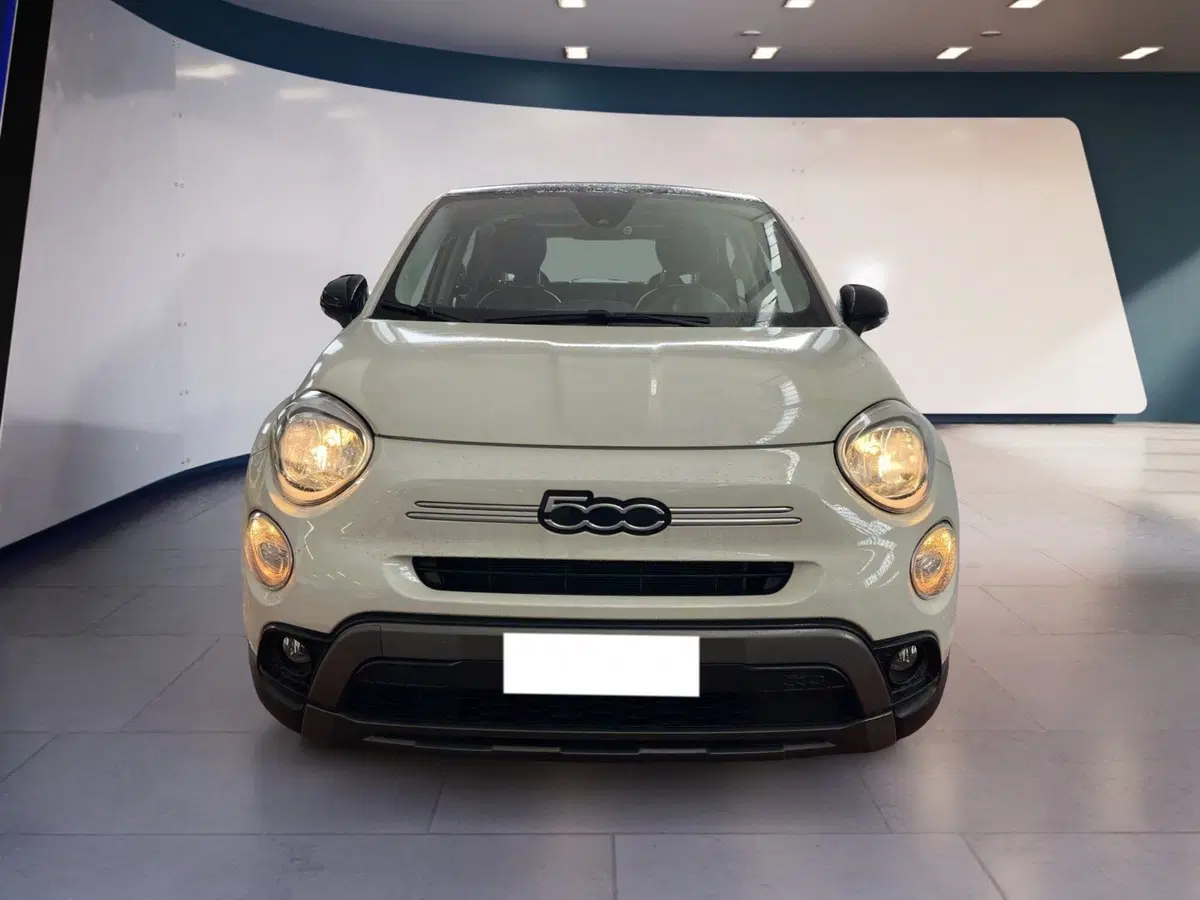 Fiat 500X usata a Torino (2)
