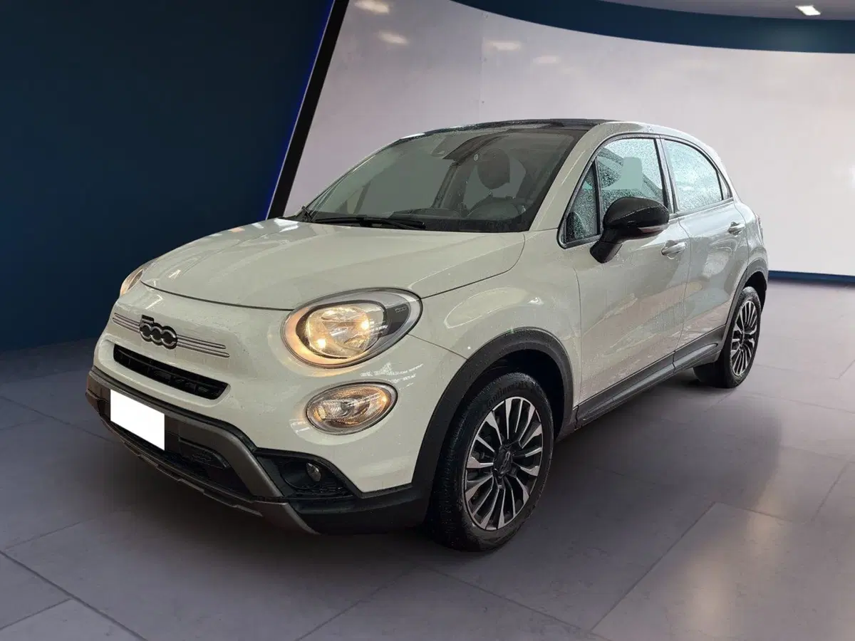 Fiat 500X usata a Torino (3)