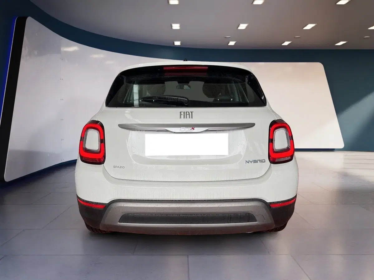 Fiat 500X usata a Torino (7)