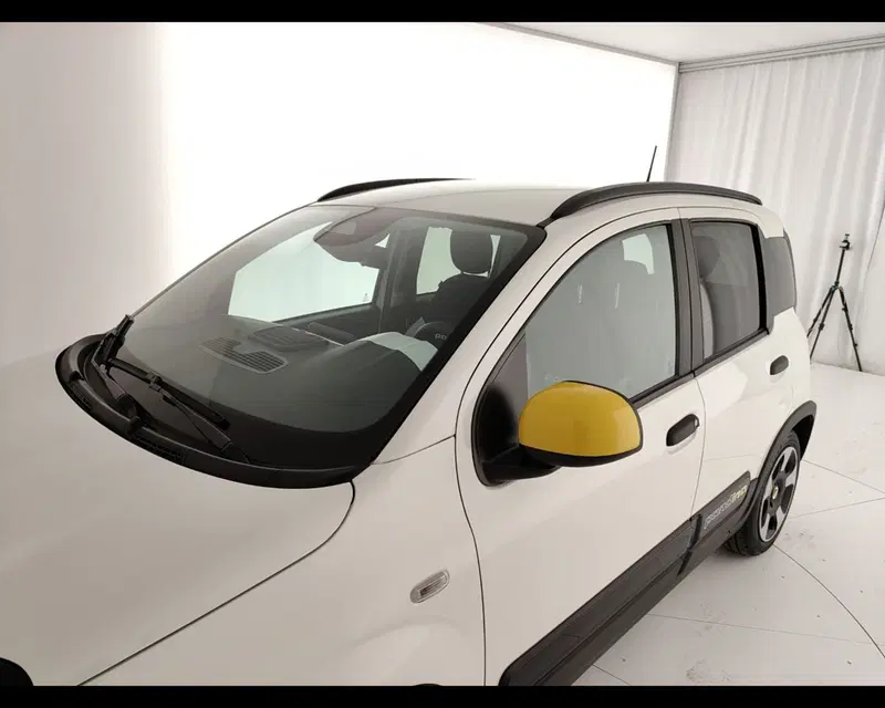 Fiat Pandina usata a Caserta (15)