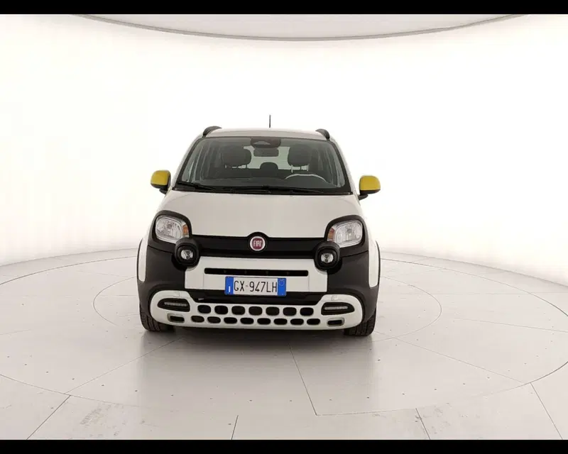 Fiat Pandina usata a Caserta (2)