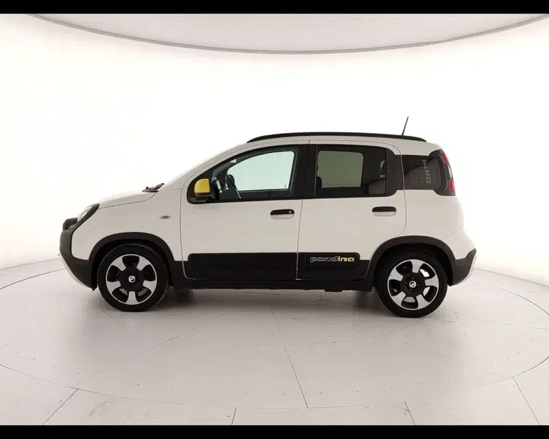 Fiat Pandina usata a Caserta (4)