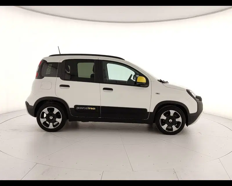 Fiat Pandina usata a Caserta (8)