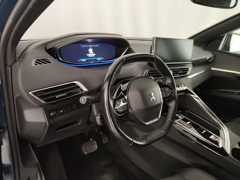 Peugeot 3008 usata a Caserta (20)
