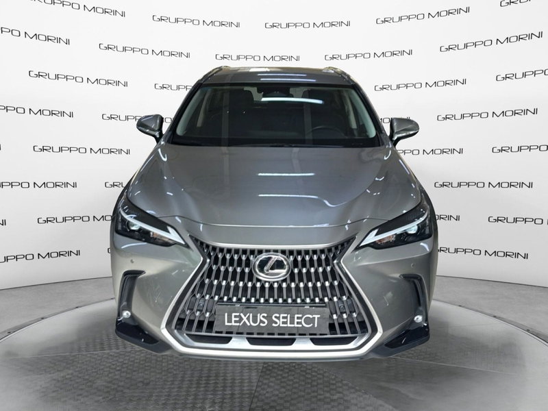 Lexus NX usata a Bologna