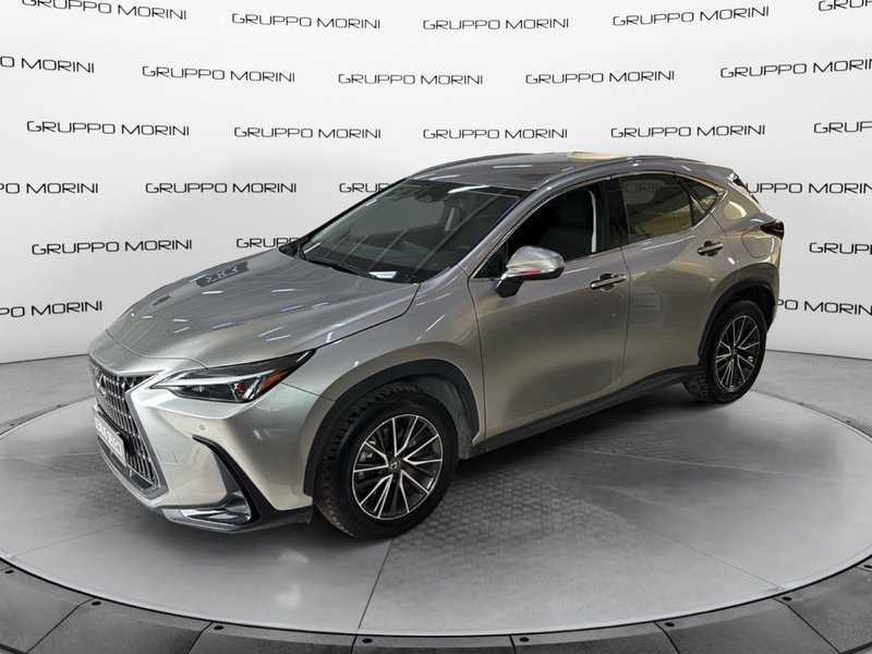 Lexus NX usata a Bologna (3)