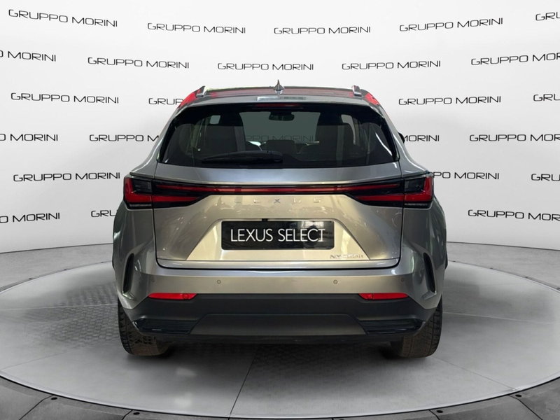 Lexus NX usata a Bologna (4)