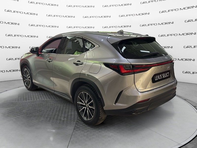 Lexus NX usata a Bologna (5)
