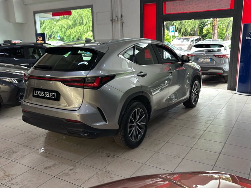 Lexus NX usata a Bologna (6)