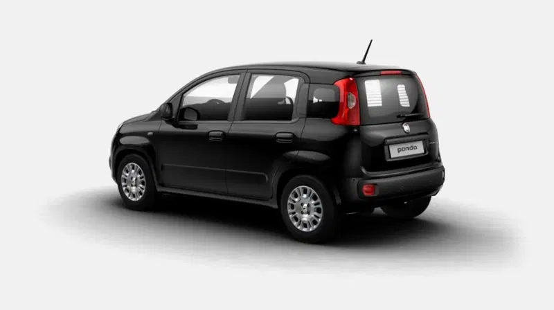Fiat Pandina usata a Siena (2)