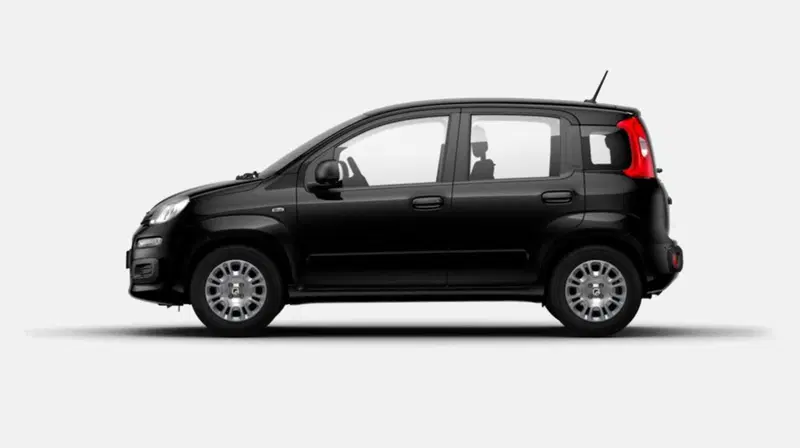 Fiat Pandina usata a Siena (3)