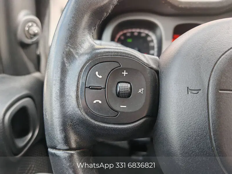 Fiat Panda Cross usata a Palermo (12)