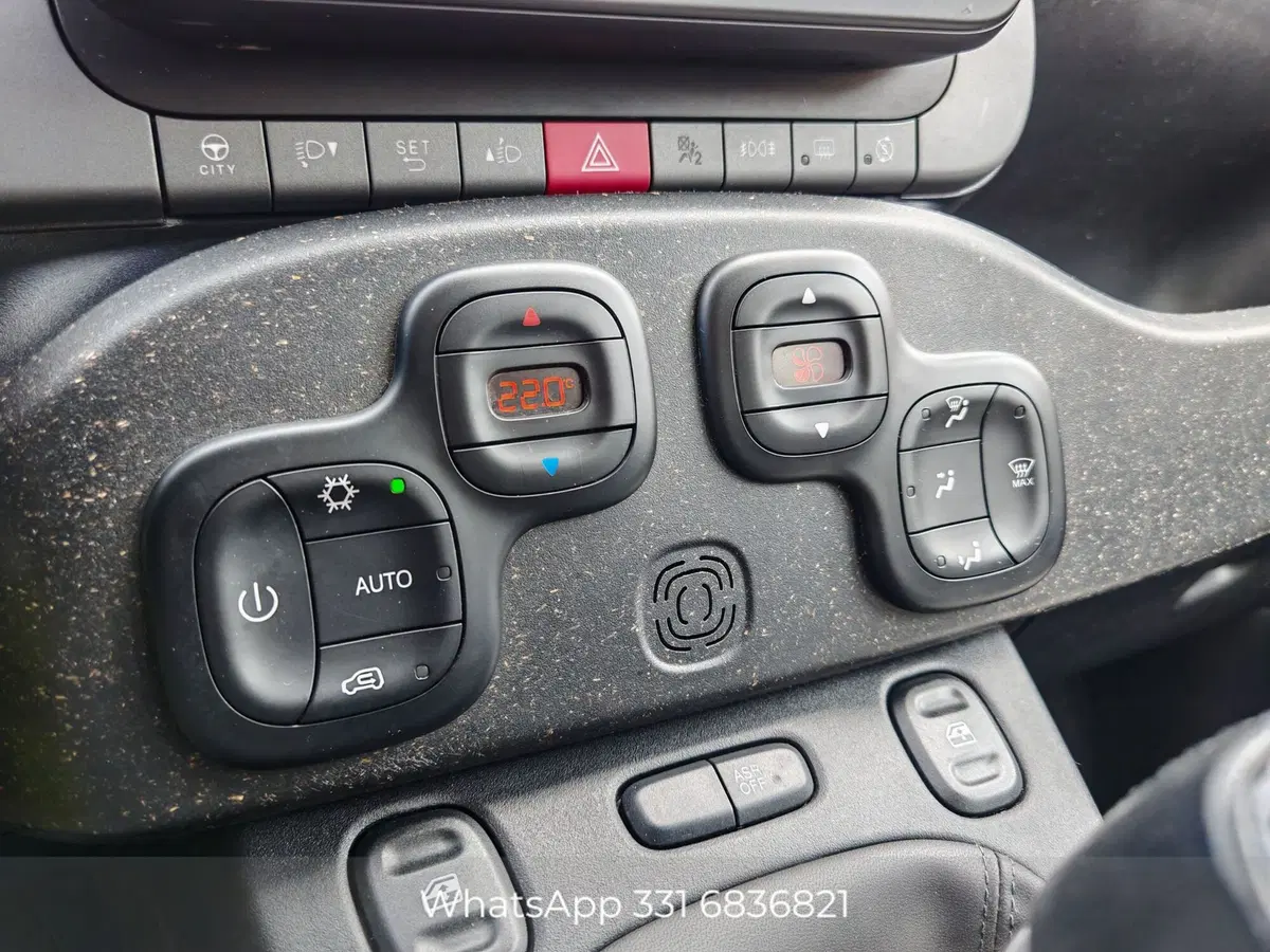 Fiat Panda Cross usata a Palermo (16)