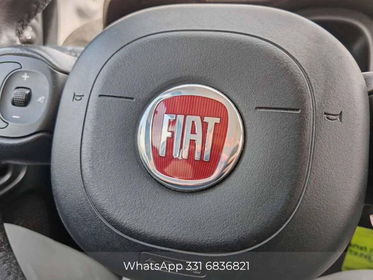 Fiat Panda Cross usata a Palermo (17)