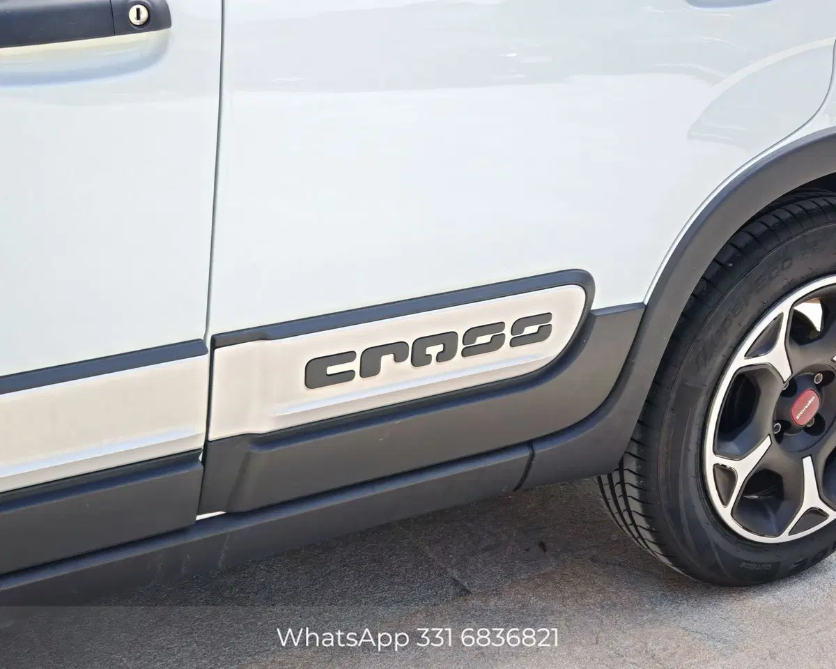 Fiat Panda Cross usata a Palermo (18)