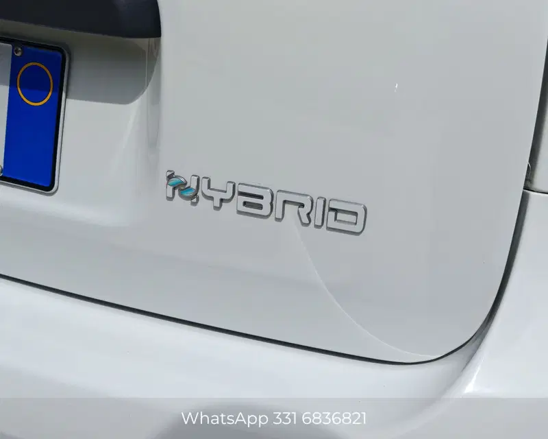 Fiat Panda Cross usata a Palermo (19)