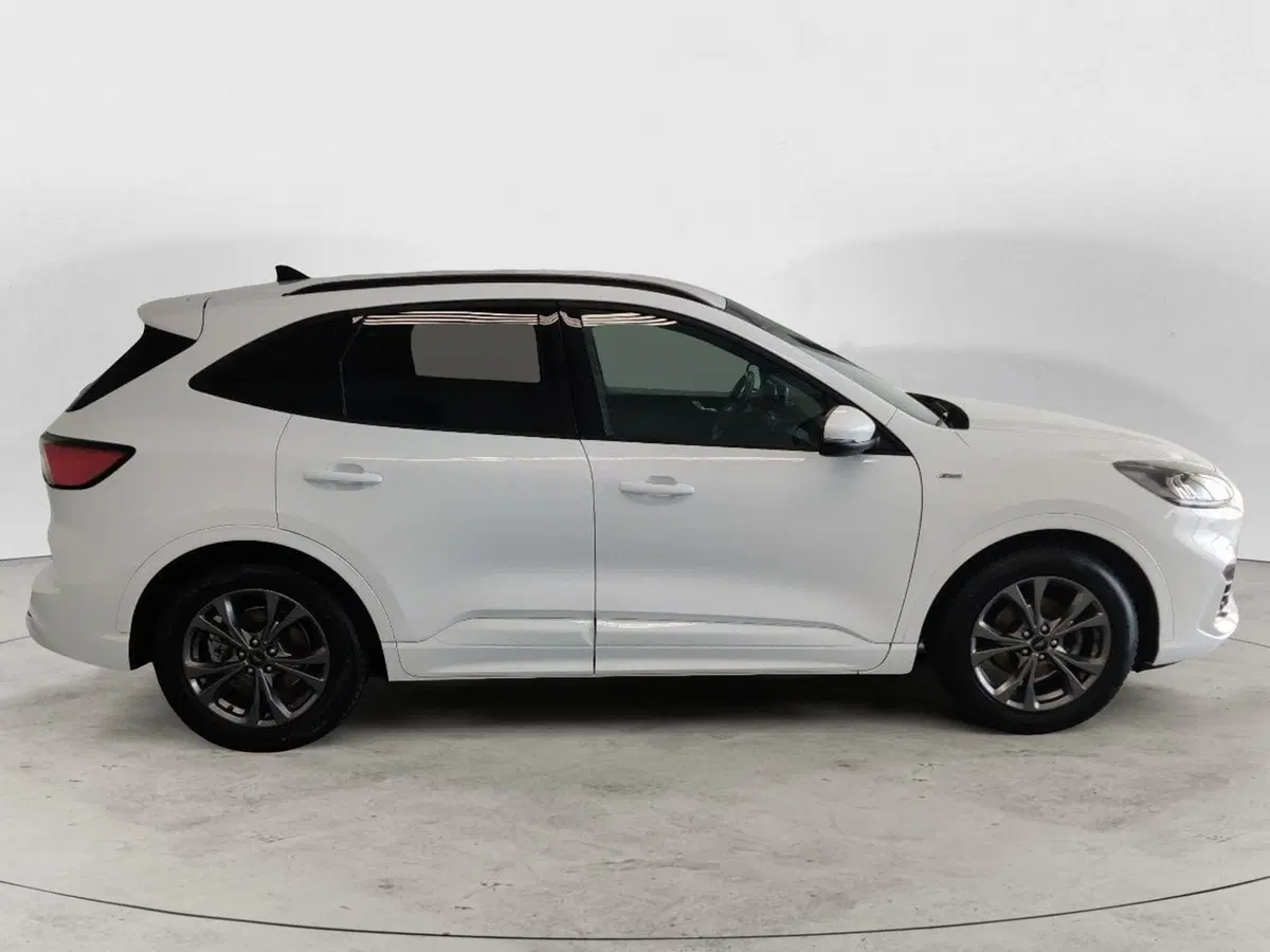 Ford Kuga usata a Arezzo (5)